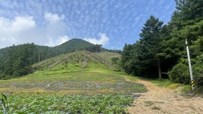 �Ӿ�(���� ��)